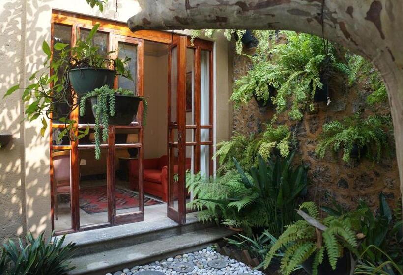 Fotos del hotel Orchidelirium Casa Hotel & Salud Estética:  14