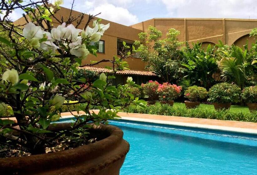 Fotos del hotel Orchidelirium Casa Hotel & Salud Estética:  8