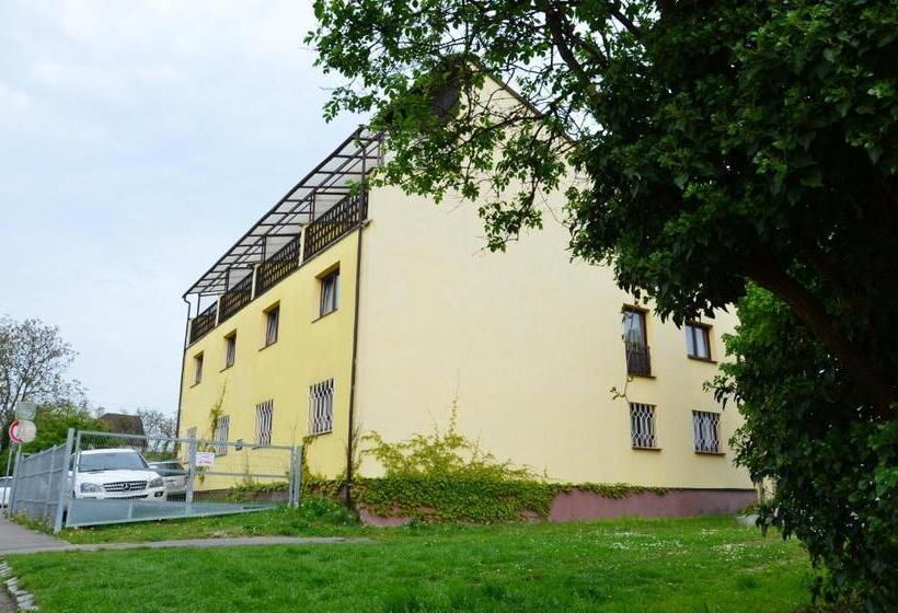 Fotos del hotel Wolf:  11