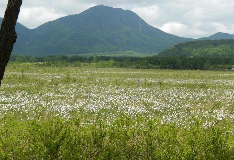 Fotos del hotel Nikko Astraea:  22