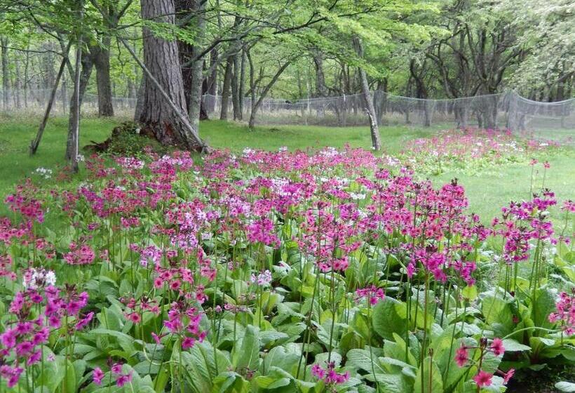 Fotos del hotel Nikko Astraea:  7