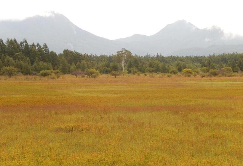 Fotos del hotel Nikko Astraea:  20