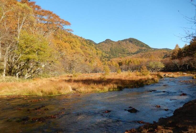 Fotos del hotel Nikko Astraea:  13