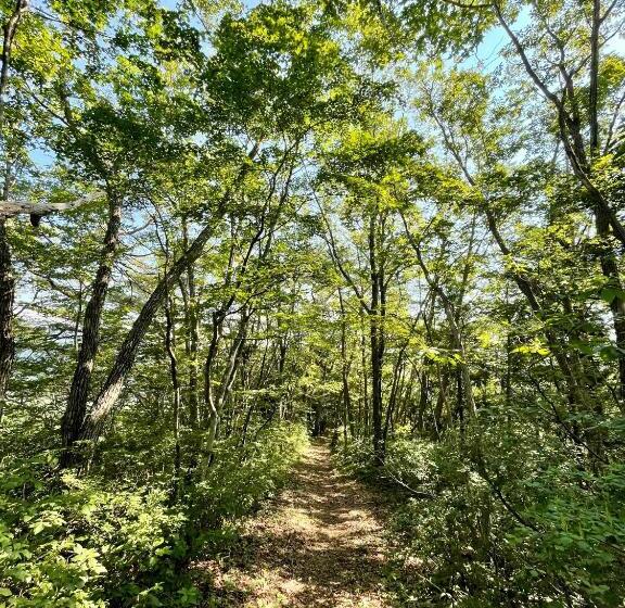 Fotos del hotel Bears Den Mountain Lodge:  21