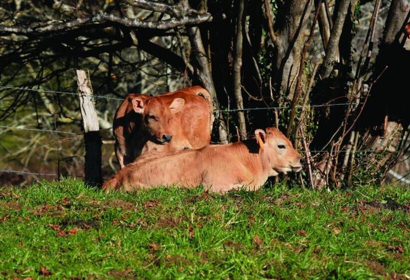 Fotos del hotel La Posada Del Rey:  18