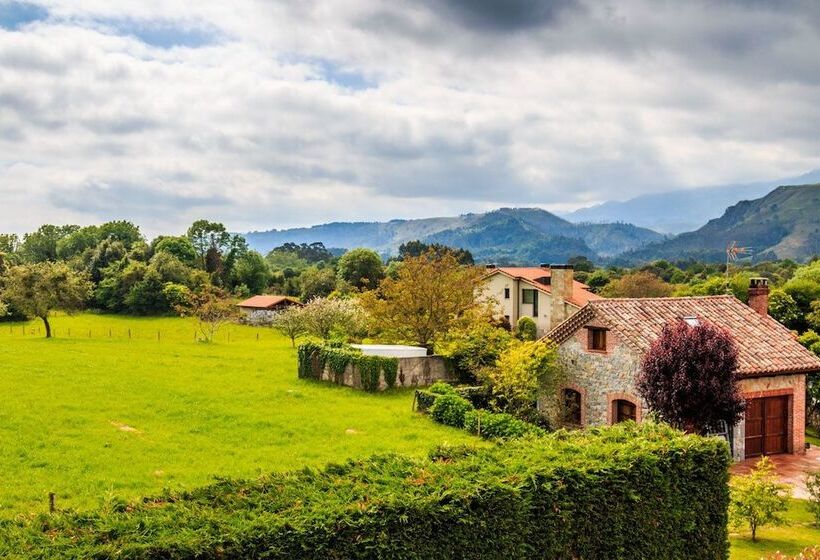 Fotos del hotel Apartamentos Andrin:  7