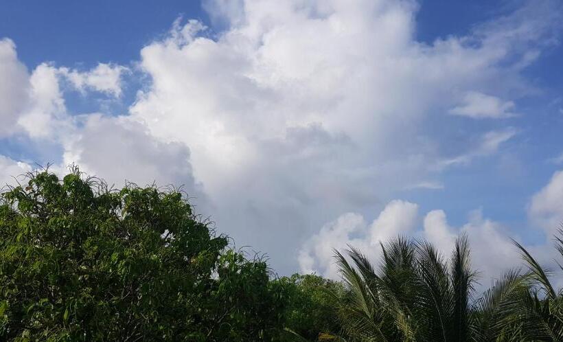 Fotos del hotel The Green Village Boutique:  12