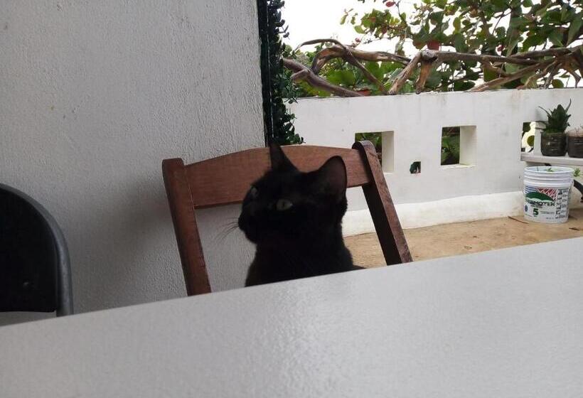 Fotos del hotel The Green Village Boutique:  9