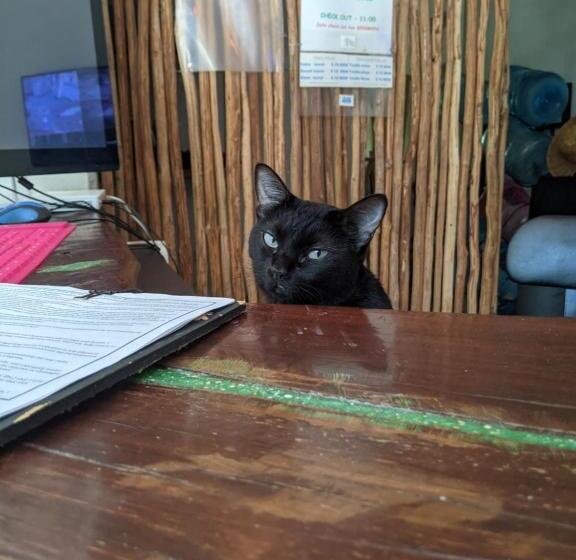 Fotos del hotel The Green Village Boutique:  7