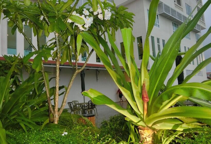 Fotos del hotel Dyvith:  25