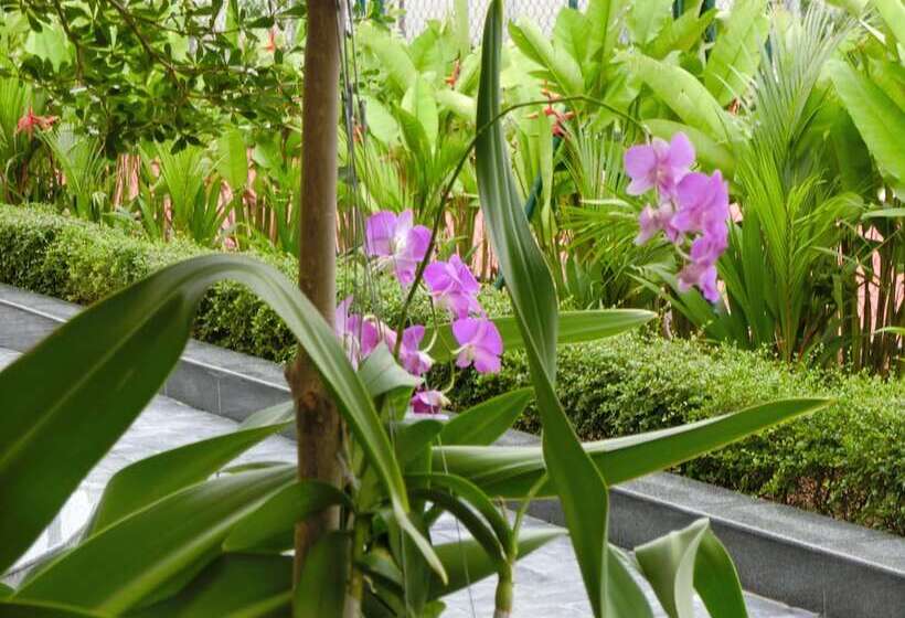 Fotos del hotel Dyvith:  8