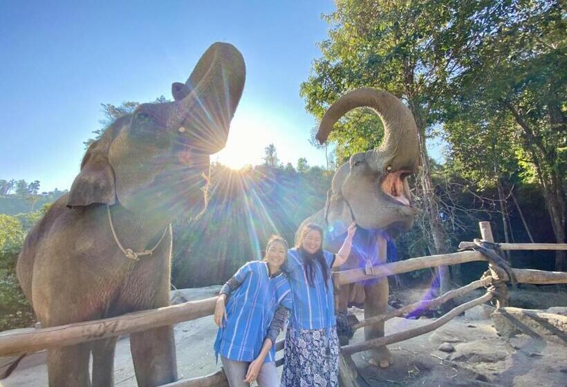 Fotos del hotel My Chiangmai Boutique Lodge:  18