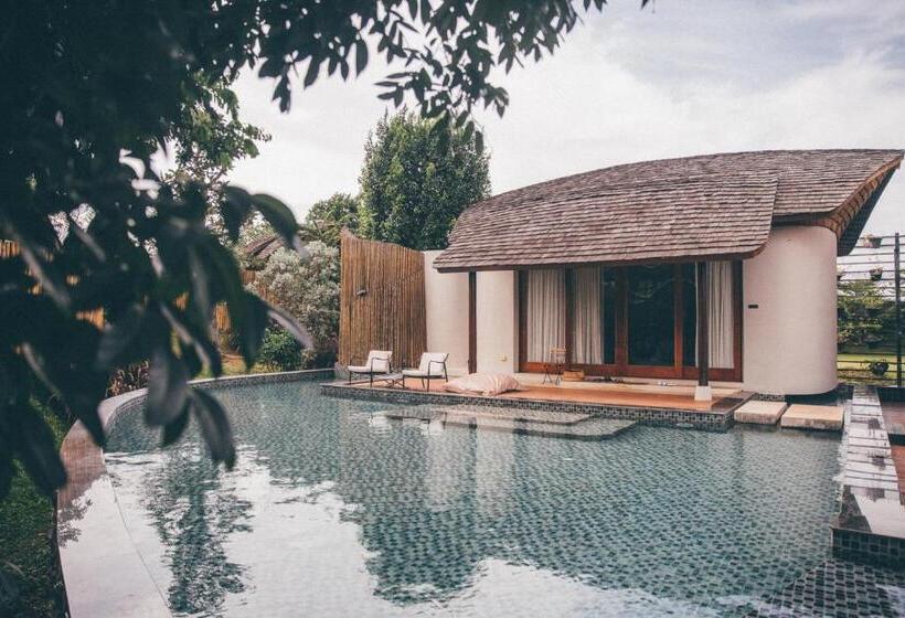 Fotos del hotel Boribot Pool Resort:  19