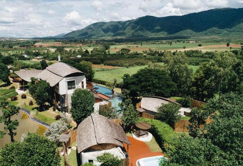 Fotos del hotel Boribot Pool Resort:  7