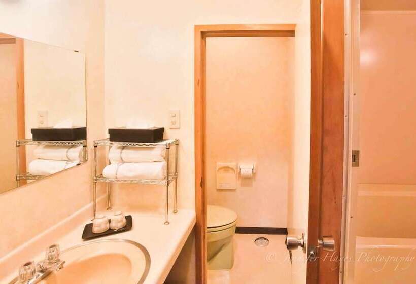 Fotos del hotel Morino Lodge  Hakuba:  4