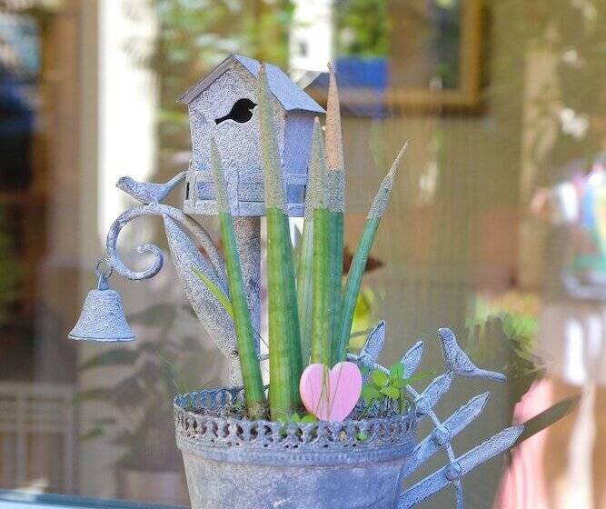 Fotos del hotel Boutique  Asteria:  5