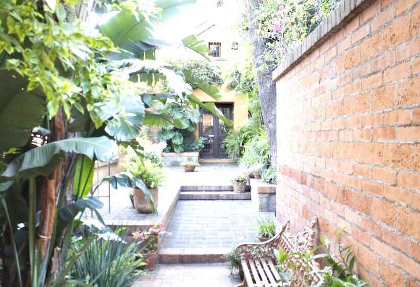 Fotos del hotel Casa Embrujo Morelia - Boutique:  10