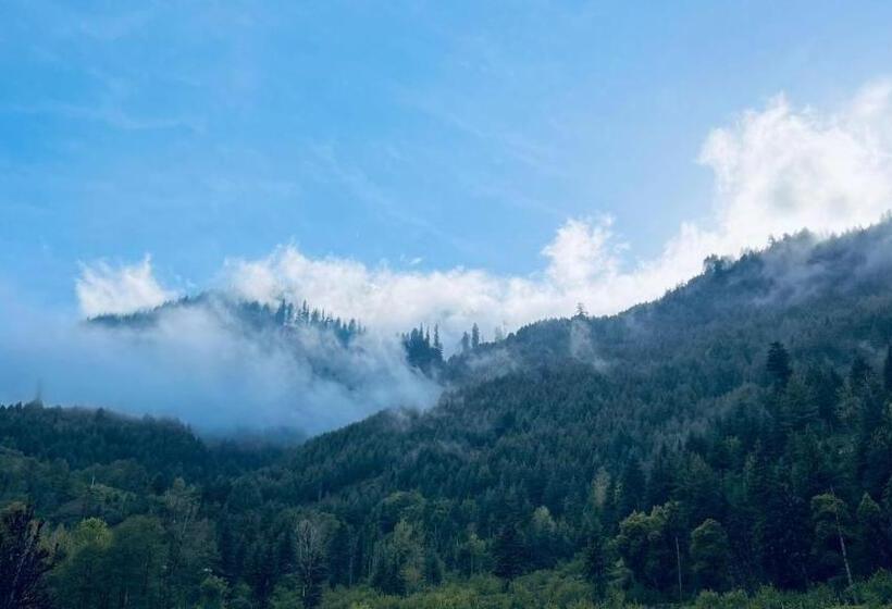 Fotos del hotel Vyas Vatika:  8