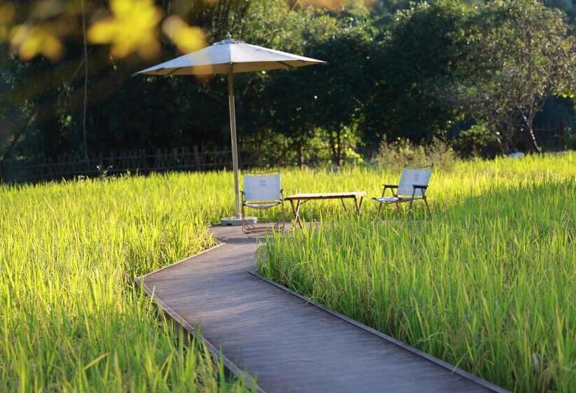 Fotos del hotel The Apsara Lodge:  8