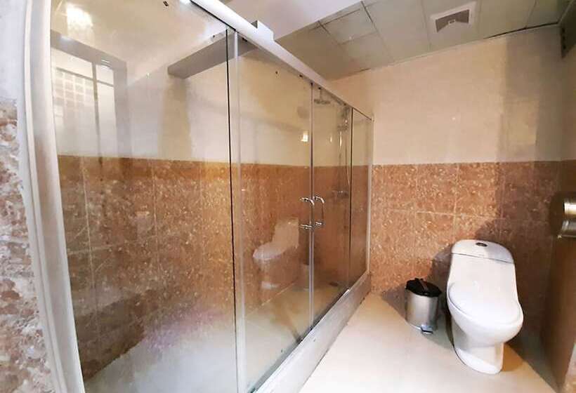 Fotos del hotel Swan:  6