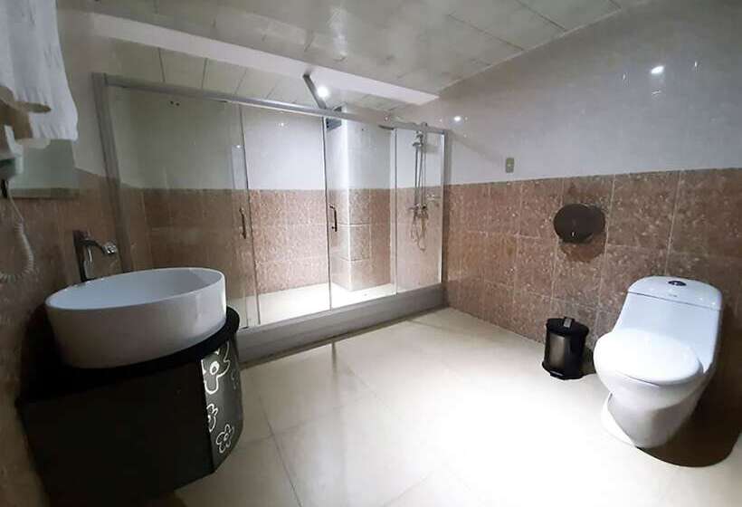 Fotos del hotel Swan:  13