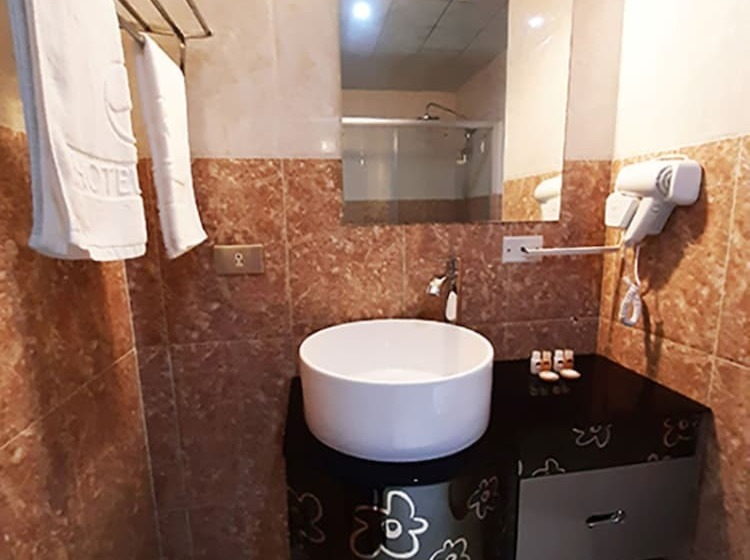 Fotos del hotel Swan:  10