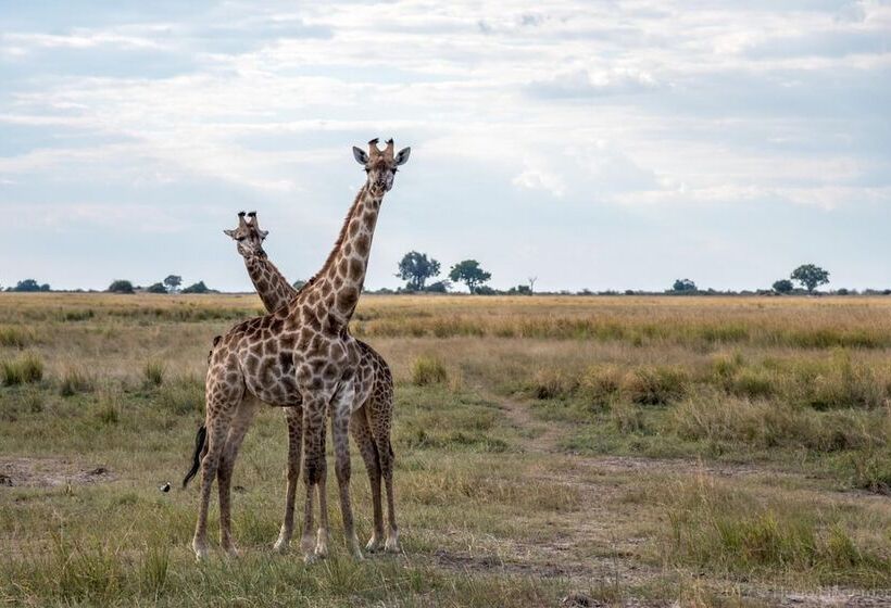 Fotos del hotel Woodlands Lodge & Tours:  20