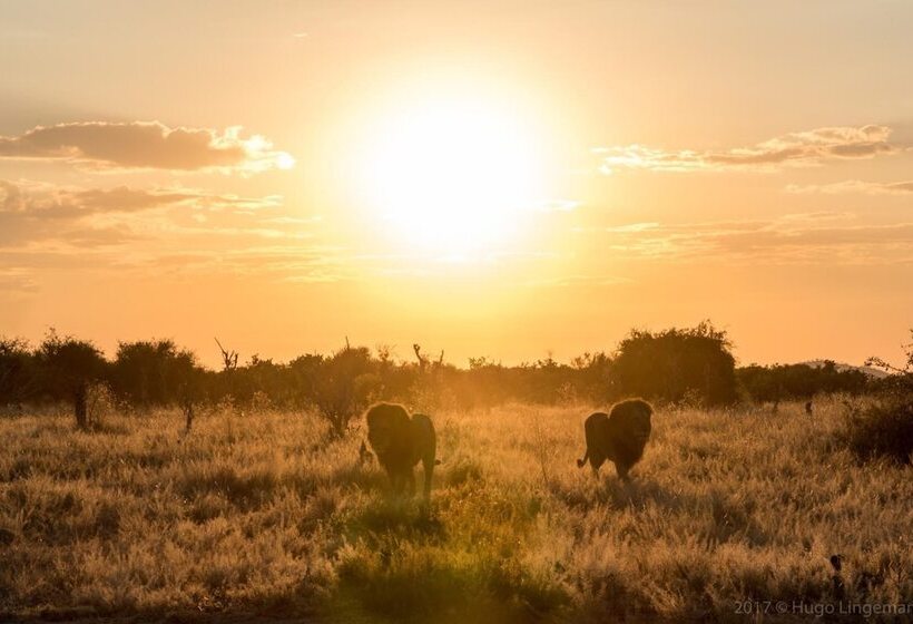 Fotos del hotel Woodlands Lodge & Tours:  12