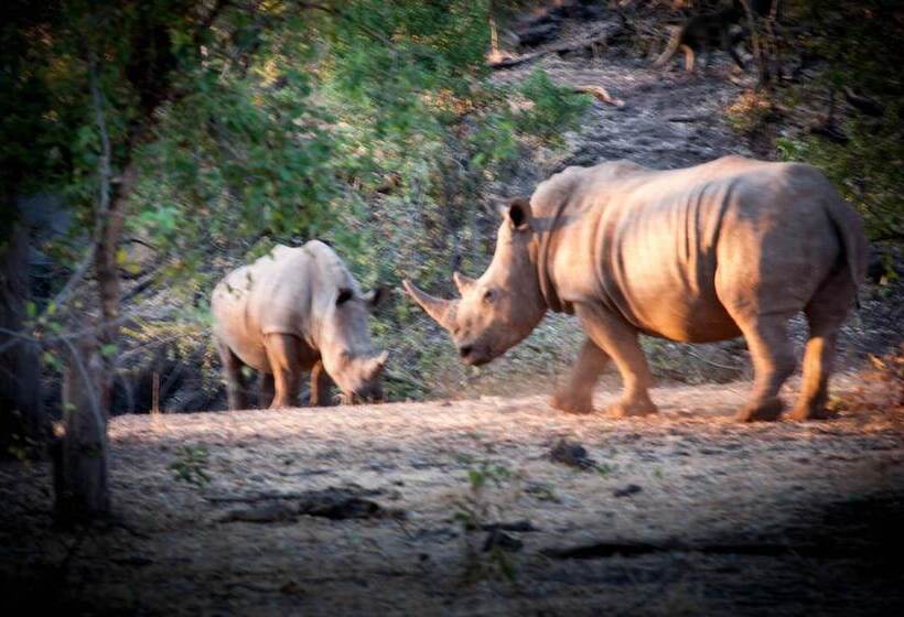 Fotos del hotel Woodlands Lodge & Tours:  7