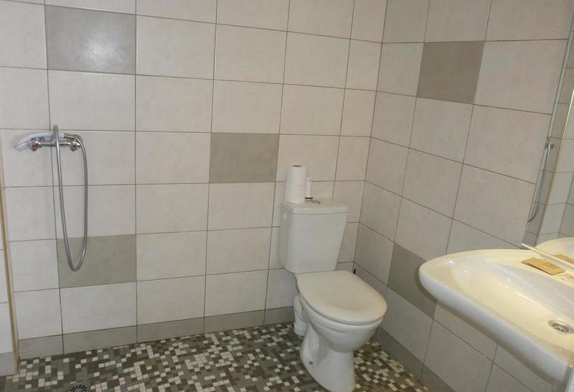 Fotos del hotel Hôtel Magnan:  19