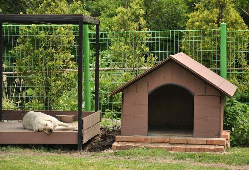 Fotos del hotel Nanta Jeju:  2