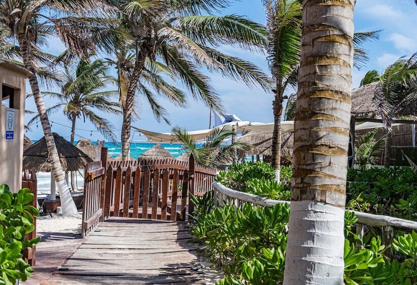 Fotos del hotel Villa Las Estrellas Tulum  Located At The Party Zone:  18