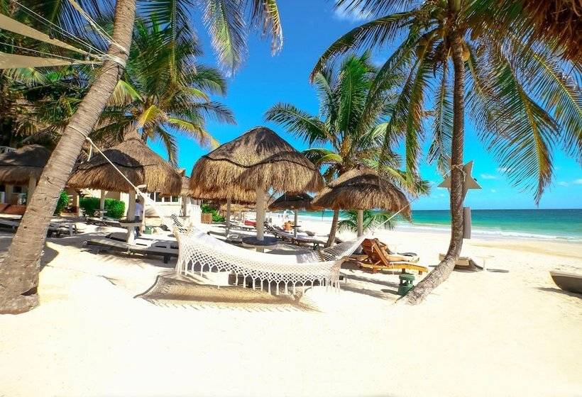 Fotos del hotel Villa Las Estrellas Tulum  Located At The Party Zone:  5