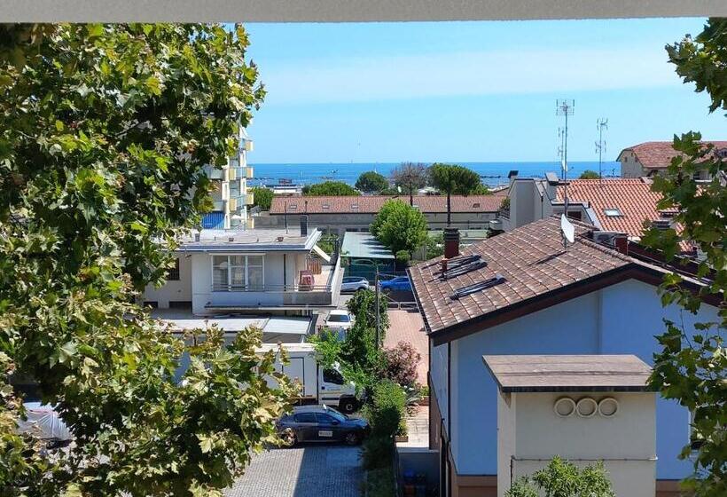 Fotos del hotel Sasselli:  6