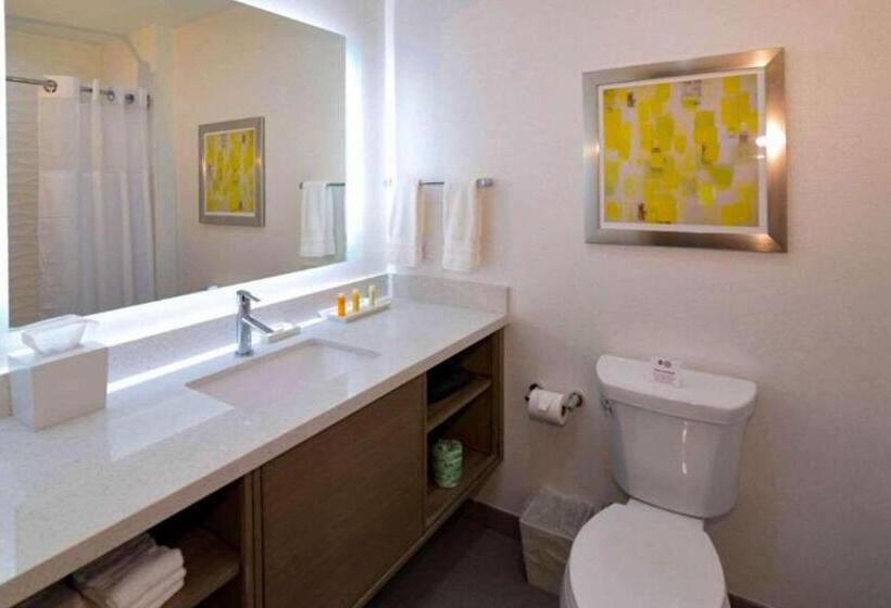 Fotos del hotel Best Western Plus Houston I45 North Inn & Suites:  9