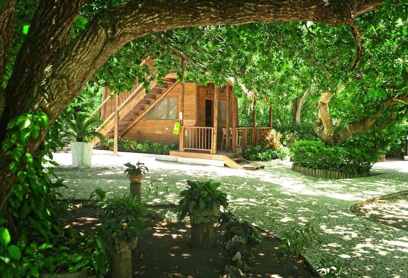 Fotos del hotel Isla Del Encanto:  14