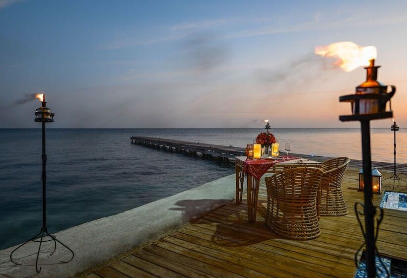 Fotos del hotel Isla Del Encanto:  19