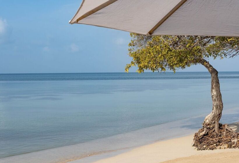 Fotos del hotel Isla Del Encanto:  7