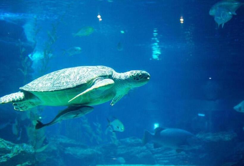 Fotos del hotel Forêt Premier Haeundae:  12