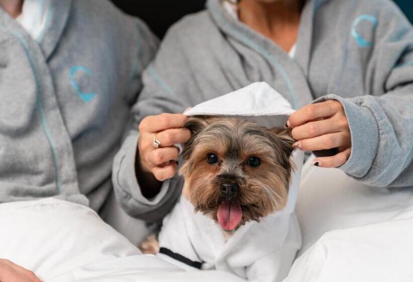 Fotos del hotel Hyatt Centric Brickell Miami:  9