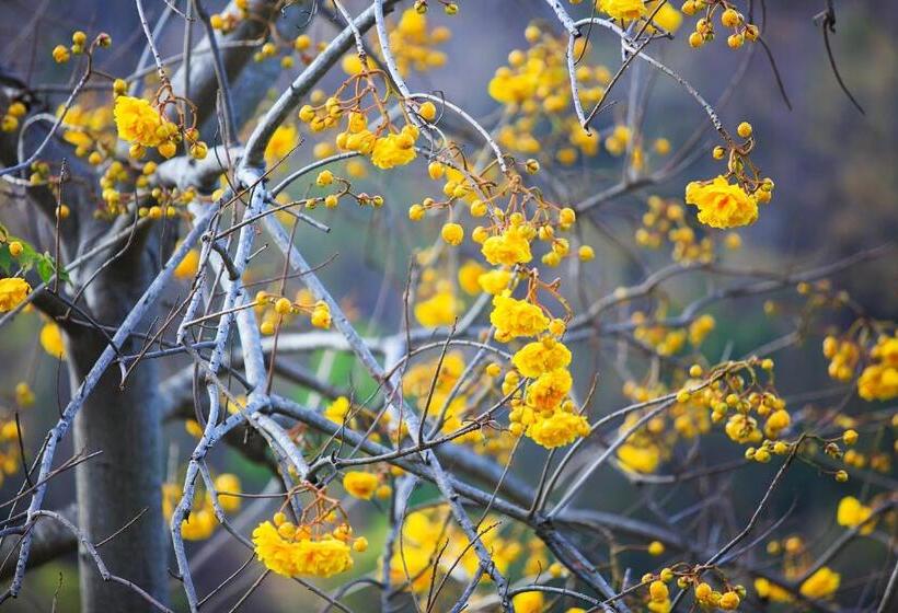 Fotos del hotel The Series Resort Khaoyai:  7