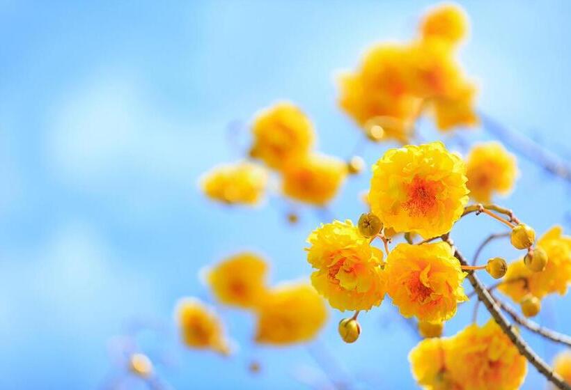 Fotos del hotel The Series Resort Khaoyai:  14