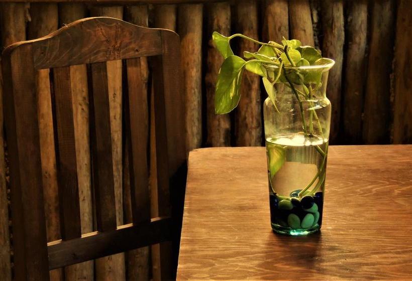 Fotos del hotel Oten Tulum:  25