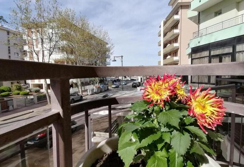 Fotos del hotel Abel:  14