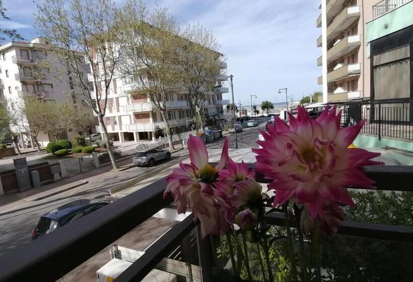 Fotos del hotel Abel:  10