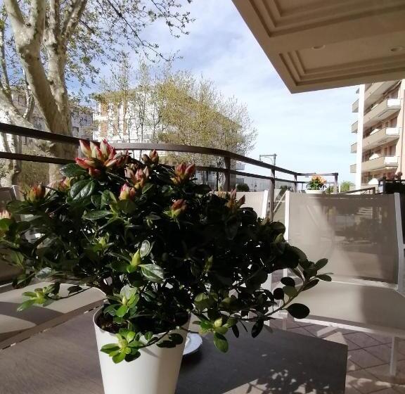 Fotos del hotel Abel:  2