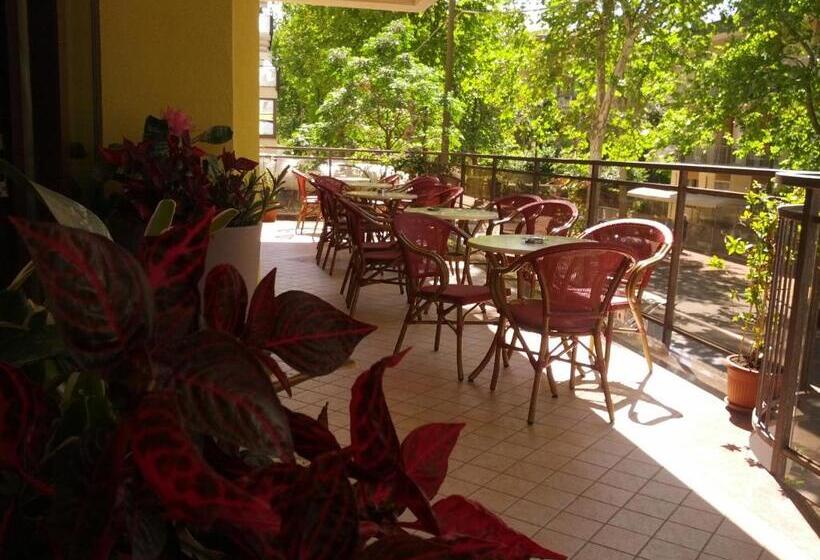 Fotos del hotel Abel:  8