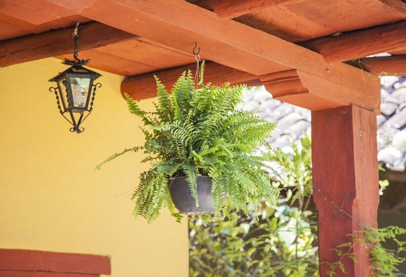 Fotos del hotel Adobe & Teja:  15