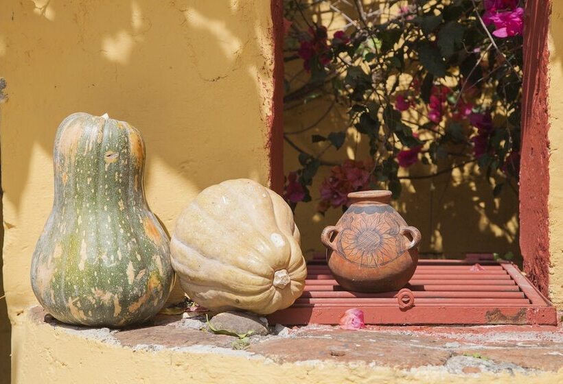 Fotos del hotel Adobe & Teja:  4