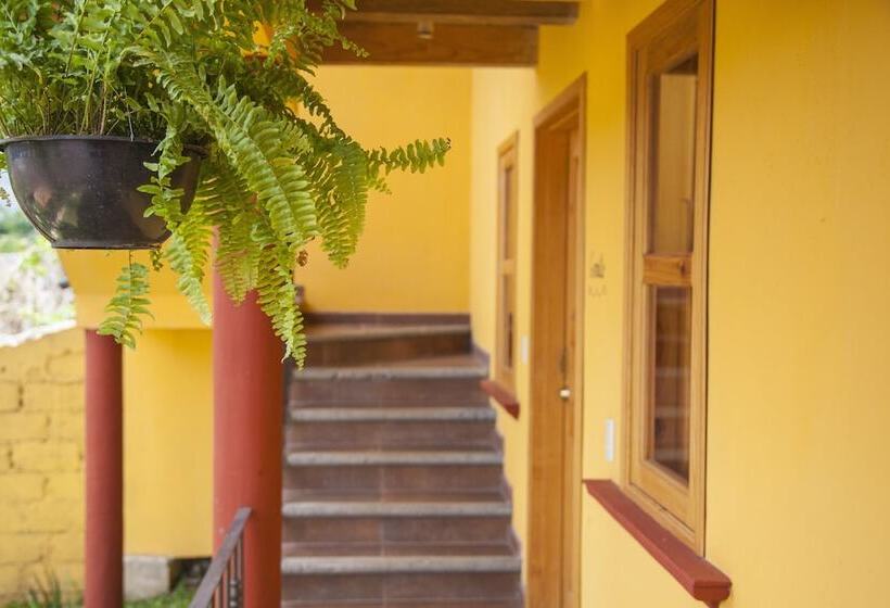 Fotos del hotel Adobe & Teja:  11